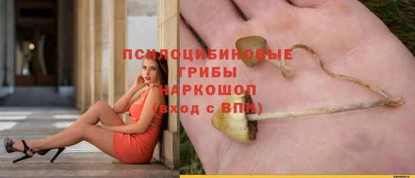 jwh Осинники
